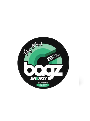 bagz_mint_1.png